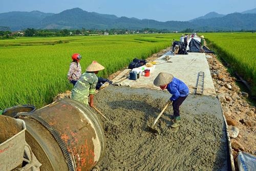 Khởi sắc xây dựng nông thôn mới tỉnh Bình Định