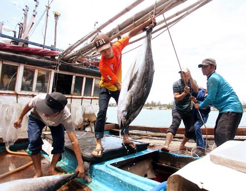 Khai thác xa bờ, chìa khóa để nâng hiệu quả và sản lượng. Ảnh: Lâm Khánh/TTXVN