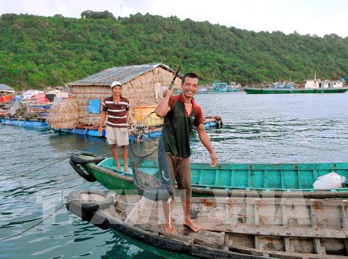 Nuôi cá lồng bè trên biển ở đảo Thổ Chu, xã Thổ Châu, huyện Phú Quốc. Ảnh: Lê Huy Hải - TTXVN