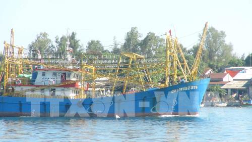 Quảng Nam xây dựng cảng cá và khu dịch vụ hậu cần cho tàu xa bờ