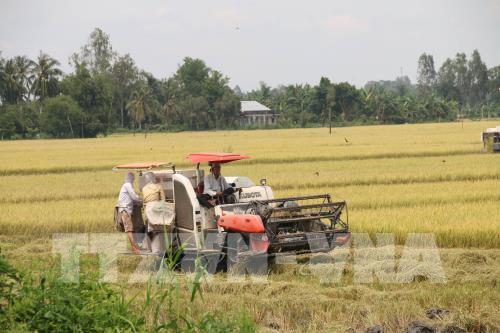 Phát triển kinh tế bền vững: Khai thác thế mạnh từ nông nghiệp