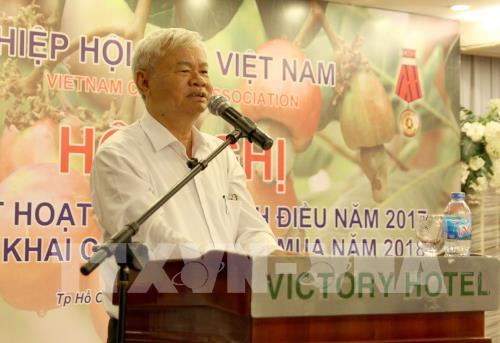 doanh nghiep dieu tam dung nhap khau nguyen lieu do gia cao