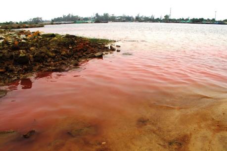 Bộ Tài nguyên và Môi trường kết luận chính thức nguyên nhân các vệt nước biển màu đỏ 