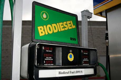Kết quả hình ảnh cho Cuba triển khai dự án quốc tế sản xuất dầu diesel sinh học