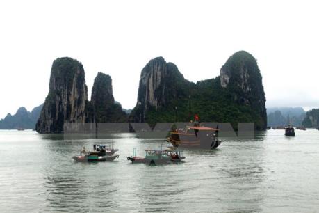 Quảng Ninh không chấp thuận dự án xây dựng nhà máy hóa chất ở gần vịnh Hạ Long