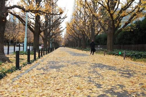 Tokyo – Bản giao hưởng cuối mùa thu