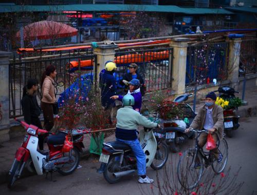 Người Hà Nội mua đào chơi tết sớm