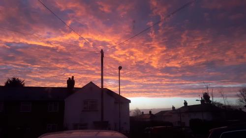 London, mùa Đông “không lạnh”