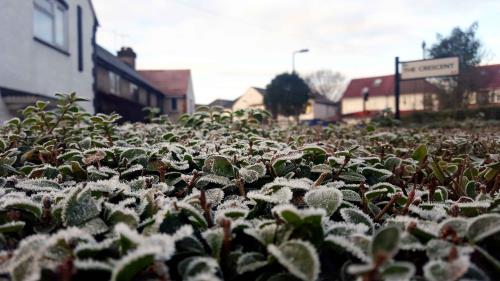 London, mùa Đông “không lạnh”