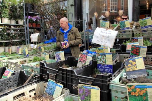 Mùa Xuân nước Anh đẹp dung dị