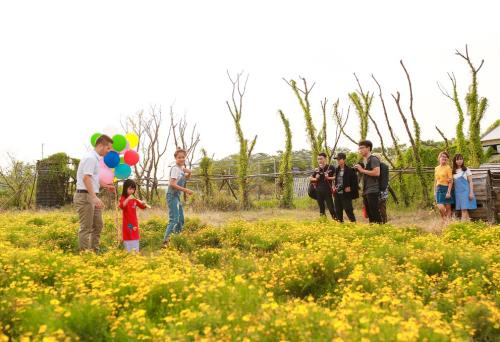 Lạc lối giữa sắc vàng hoa dã quỳ ngay tại Thủ đô Hà Nội