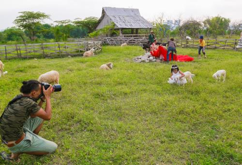 Lạc lối giữa sắc vàng hoa dã quỳ ngay tại Thủ đô Hà Nội