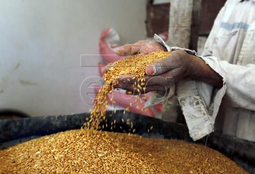 Động thái mới của WTO đối với bất đồng thương mại Mỹ-Trung