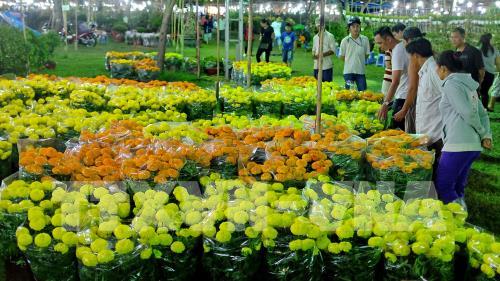 Rộn ràng hội chợ hoa Xuân Phú Mỹ Hưng 2017