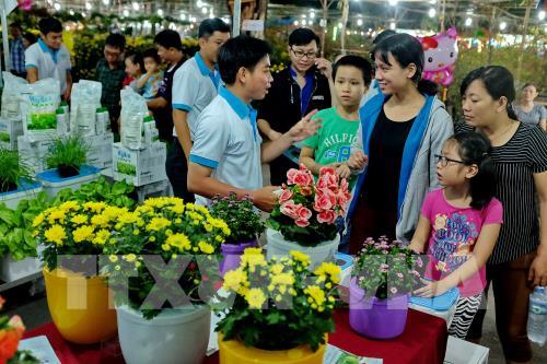 Rộn ràng hội chợ hoa Xuân Phú Mỹ Hưng 2017