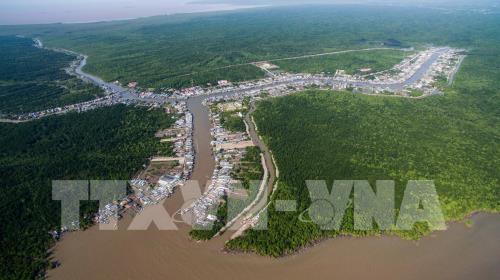 Khu dự trữ sinh quyển thế giới Mũi Cà Mau