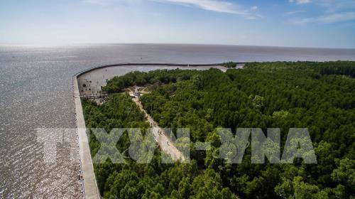 Khu dự trữ sinh quyển thế giới Mũi Cà Mau