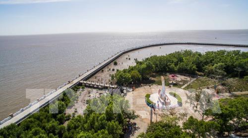 Khu dự trữ sinh quyển thế giới Mũi Cà Mau