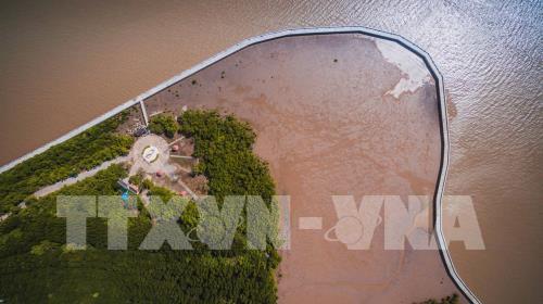 Khu dự trữ sinh quyển thế giới Mũi Cà Mau