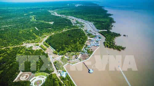 Khu dự trữ sinh quyển thế giới Mũi Cà Mau