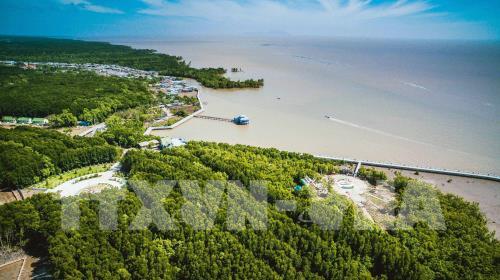 Khu dự trữ sinh quyển thế giới Mũi Cà Mau