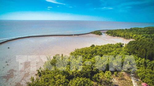 Khu dự trữ sinh quyển thế giới Mũi Cà Mau