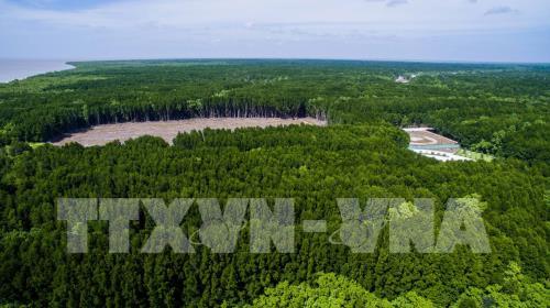 Khu dự trữ sinh quyển thế giới Mũi Cà Mau