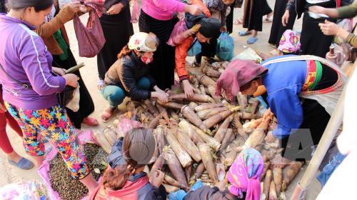 Đặc sắc chợ phiên Huội Cuổi ngày đầu xuân