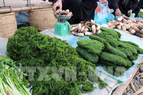 Đặc sắc chợ phiên Huội Cuổi ngày đầu xuân