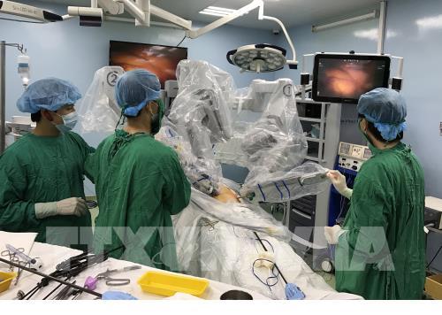 Mỹ lần đầu tiên thử nghiệm thành công ca ghép thận lợn trên cơ thể người