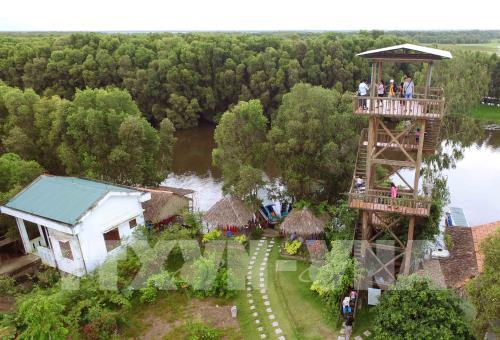  Vườn quốc gia Tràm Chim hấp dẫn du khách