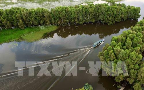  Vườn quốc gia Tràm Chim hấp dẫn du khách