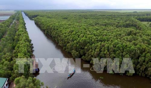  Vườn quốc gia Tràm Chim hấp dẫn du khách