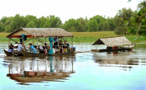  Vườn quốc gia Tràm Chim hấp dẫn du khách