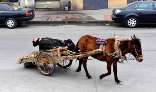 Những dáng ngủ cho thấy việc gì cũng có thể xảy ra