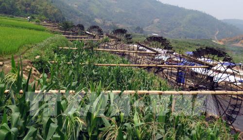 Khách du lịch thập phương "ùn ùn" đến với bản Nà Khương, tỉnh Lai Châu