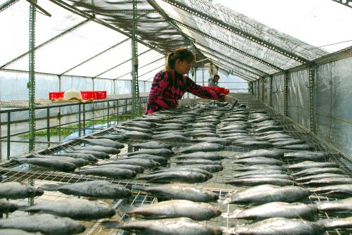 Đề xuất thành lập trung tâm hỗ trợ chuyển đổi số cho hợp tác xã