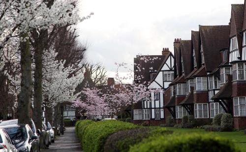 Vẻ đẹp mong manh của hoa anh đào London 