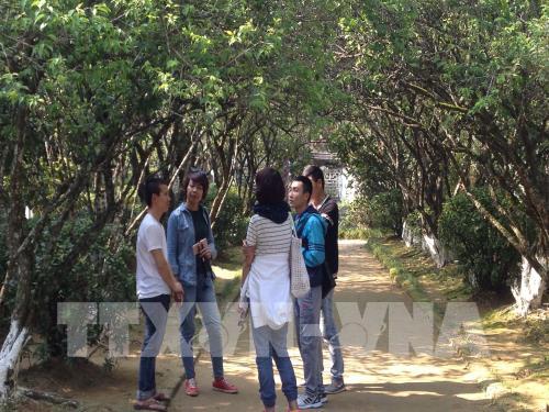 Nét đẹp nhà vườn nơi cố đô Huế