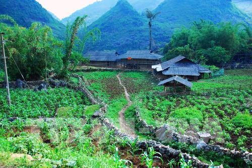 Vẻ đẹp hút hồn của cao nguyên đá Tủa Chùa