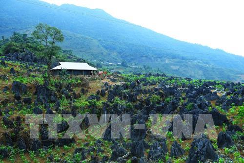 Vẻ đẹp hút hồn của cao nguyên đá Tủa Chùa