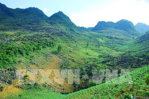 Vẻ đẹp hút hồn của cao nguyên đá Tủa Chùa