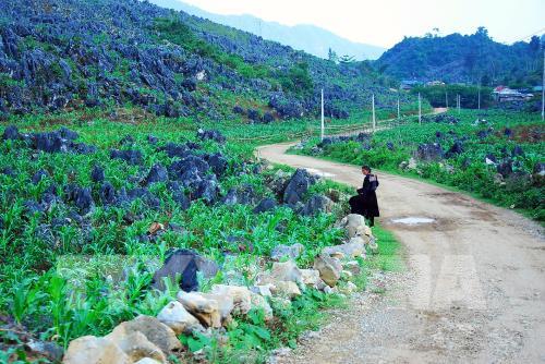 Vẻ đẹp hút hồn của cao nguyên đá Tủa Chùa