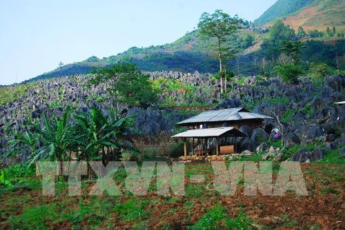 Vẻ đẹp hút hồn của cao nguyên đá Tủa Chùa