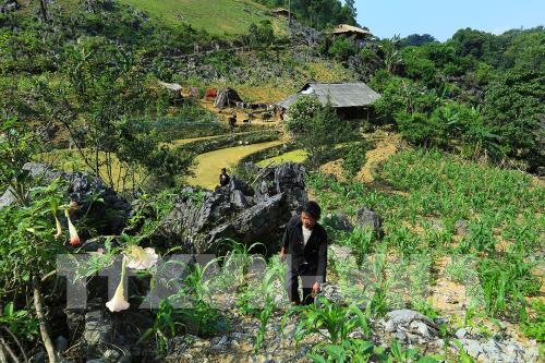 Vẻ đẹp hút hồn của cao nguyên đá Tủa Chùa