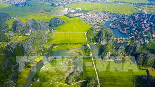 Mùa vàng đẹp như tranh ở Tam Cốc, Ninh Bình