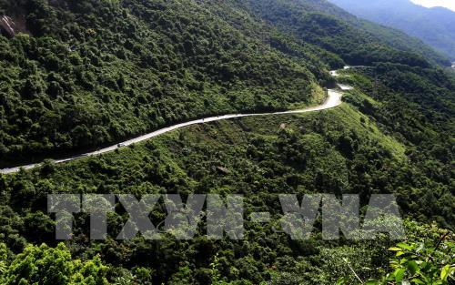 Đèo Hải Vân - Cung đường du lịch nổi tiếng tại miền Trung