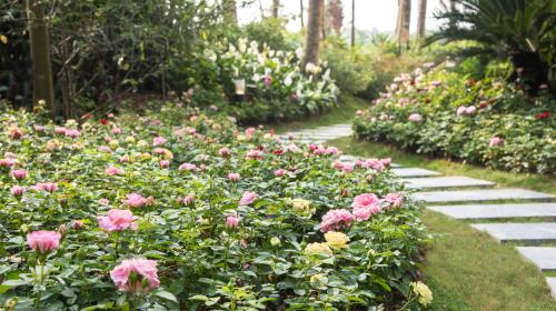 Cận cảnh biệt thự hoa hồng độc đáo cách Hà Nội 40 phút chạy xe