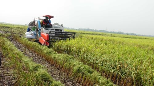 Vĩnh Phúc hỗ trợ nông dân đầu tư cơ giới hóa nông nghiệp