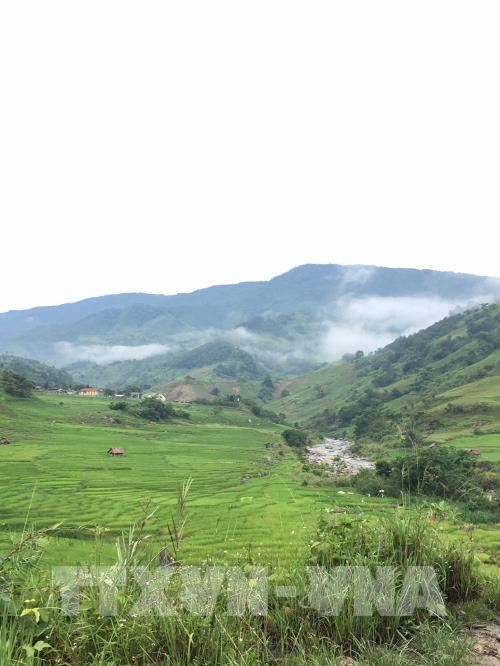 Ngọc Linh-Vẻ đẹp nơi đại ngàn hoang sơ 